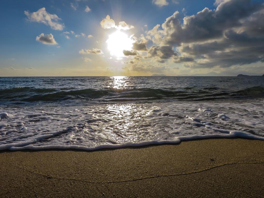 Cairns Beaches Flashpackers Palm Cove Extérieur photo